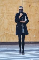 FAMKE JANSSEN Out and About in New York 11/16/2020