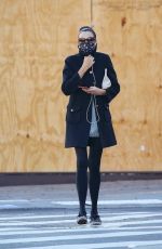FAMKE JANSSEN Out and About in New York 11/16/2020