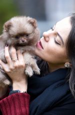 FAYE BROOKES Out with Her Dog in Manchester 11/17/2020