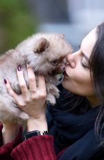 FAYE BROOKES Out with Her Dog in Manchester 11/17/2020