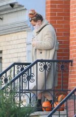 HILARY DUFF Out in New York 11/02/2020