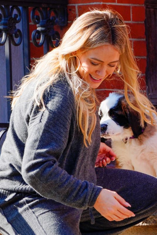 HILARY DUFF Out with Her Dog in New York 11/14/2020