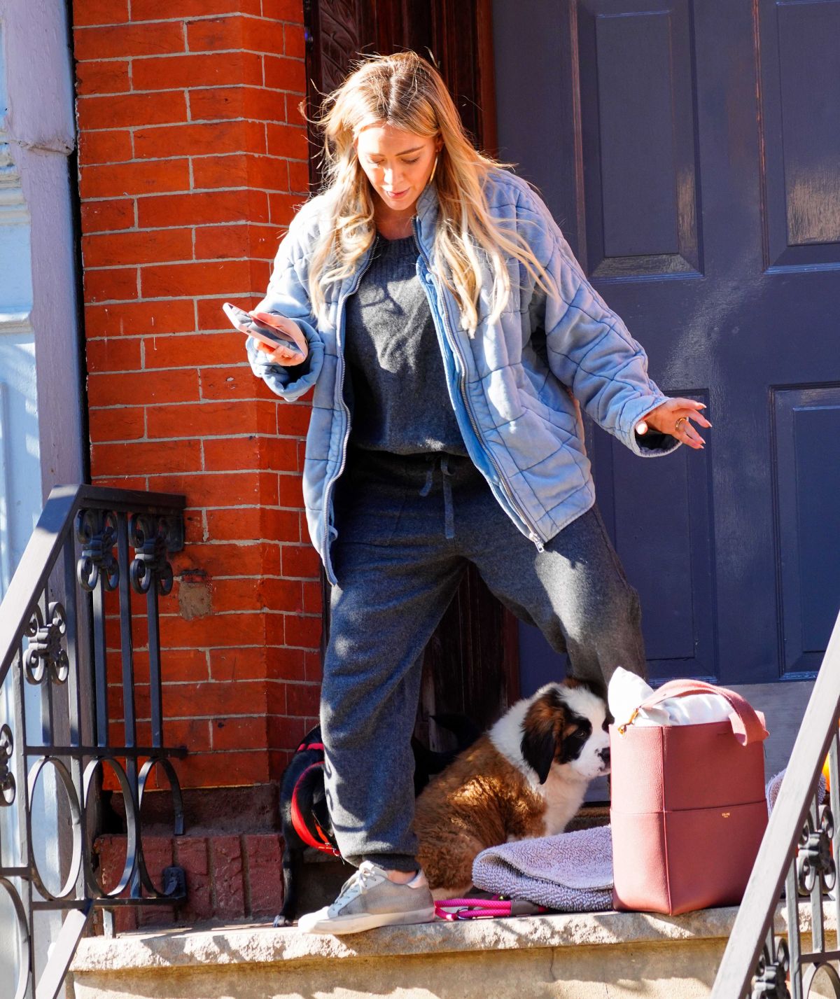 hilary-duff-out-with-her-dog-in-new-york-11-14-2020-6.jpg