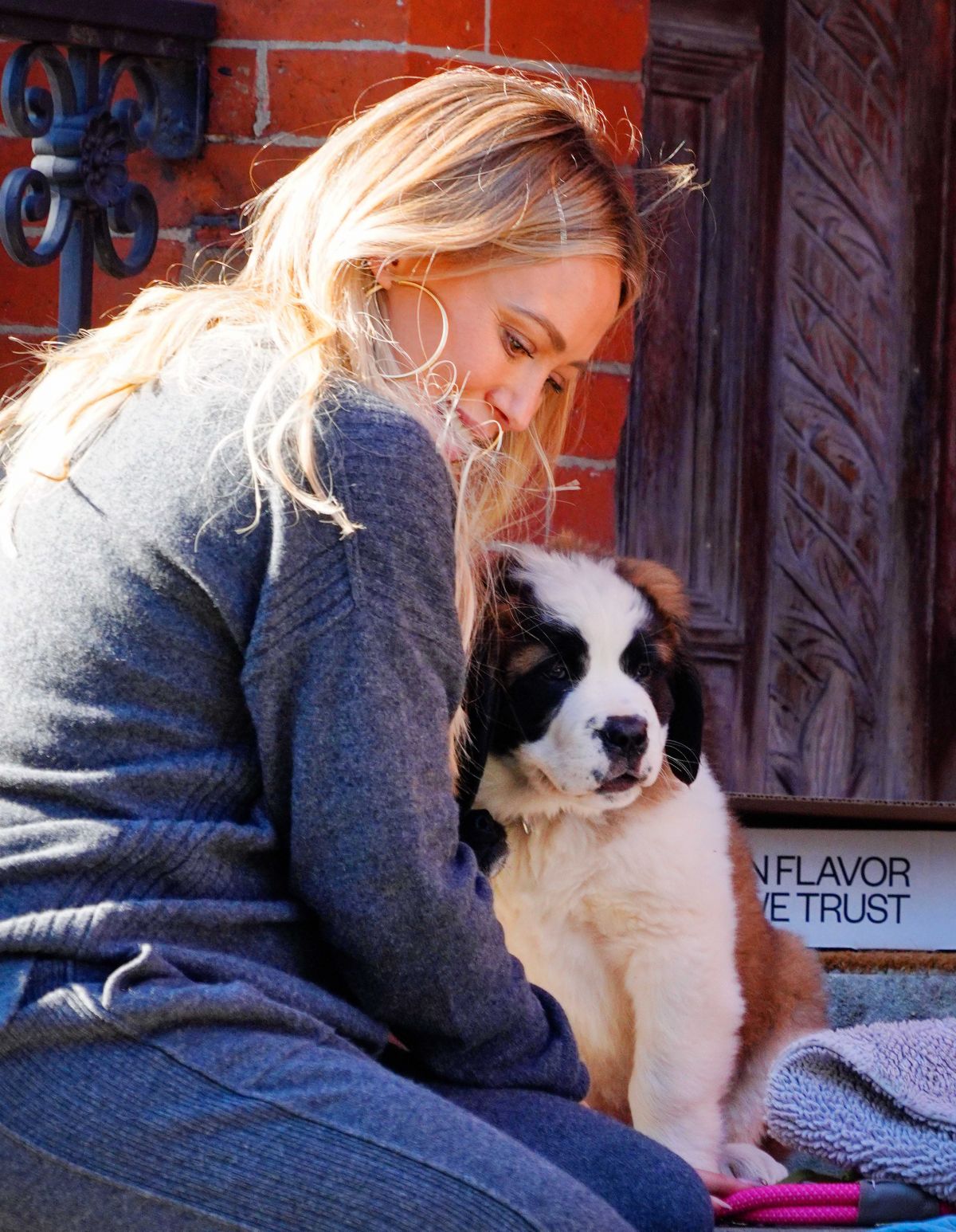 hilary-duff-out-with-her-dog-in-new-york-11-14-2020-8.jpg