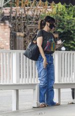 IDINA MENZEL Out for Ice Cream in Brentwood 11/06/2020
