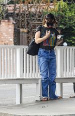 IDINA MENZEL Out for Ice Cream in Brentwood 11/06/2020