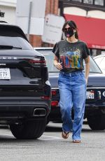 IDINA MENZEL Out for Ice Cream in Brentwood 11/06/2020