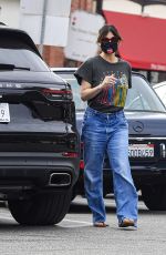 IDINA MENZEL Out for Ice Cream in Brentwood 11/06/2020