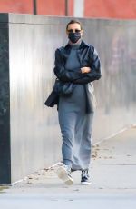 IRINA SHAYK Out and About in New York 11/06/2020