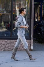 IRINA SHAYK Out in New York 11/19/2020