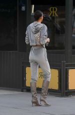IRINA SHAYK Out in New York 11/19/2020