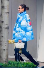 IRINA SHAYK Out in New York 11/24/2020