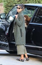 JORDANA BREWSTER Arrives at a Friend