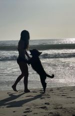 JORDANA BREWSTER in Bikini at a Beach - Instagram Photos 11/07/2020