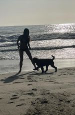 JORDANA BREWSTER in Bikini at a Beach - Instagram Photos 11/07/2020
