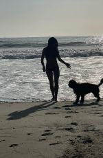 JORDANA BREWSTER in Bikini at a Beach - Instagram Photos 11/07/2020