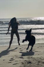 JORDANA BREWSTER in Bikini at a Beach - Instagram Photos 11/07/2020