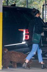 JORDANA BREWSTER Leaves a Vet Clinic in Westwood 11/25/2020