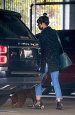 JORDANA BREWSTER Leaves a Vet Clinic in Westwood 11/25/2020