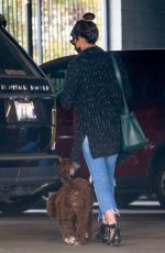 JORDANA BREWSTER Leaves a Vet Clinic in Westwood 11/25/2020