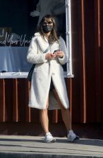 JORDANA BREWSTER Out and About in Los Angeles 11/26/2020
