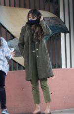 JORDANA BREWSTER Out and About in Santa Monica 11/02/2020