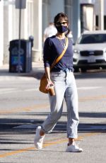 JORDANA BREWSTER Out and About in Santa Monica 11/04/2020