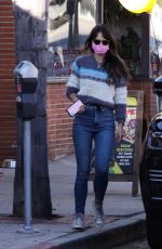 JORDANA BREWSTER Out for Juice in Pacific Palisades 11/17/2020