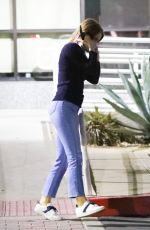 JULIANNE HOUGH Out and About in Los Angeles 11/16/2020