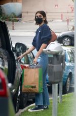 KAIA GERBER and Jacob Elordi Out with Their Dog in Malibu 11/05/2020
