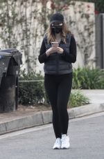 KATHERINE SCHWARZENEGGER Out in Santa Monica 11/06/2020