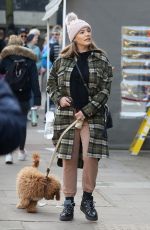 KELLY BROOK and Jeremy Parisi Out with Their Dog in Hampstead 11/07/2020