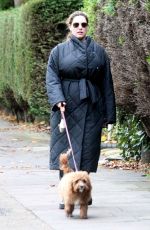 KELLY BROOK Make Up Free Out with Her Dog in London 11/03/2020