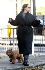 KELLY BROOK Make Up Free Out with Her Dog in London 11/03/2020