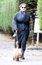 KELLY BROOK Make Up Free Out with Her Dog in London 11/03/2020
