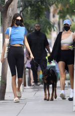 KENDALL JENNER and HAILEY BIEBER Out for Lunch at Zinque Cafe in West Hollywood 11/05/2020