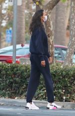 LAIS RIBEIRO Out and About in Malibu 11/03/2020