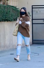 LAUREN PARSEKIAN Out in Los Angeles 11/29/2020