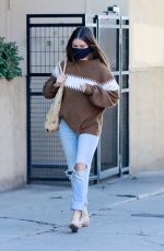 LAUREN PARSEKIAN Out in Los Angeles 11/29/2020