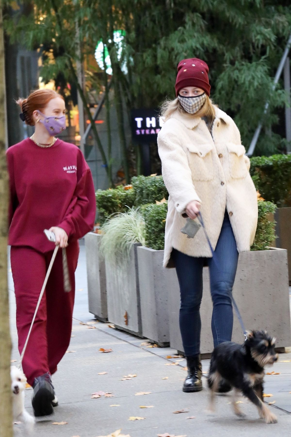 lili-reinhart-and-madelaine-petsch-out-with-their-dogs-in-vancouver-11-29-2020-2.jpg
