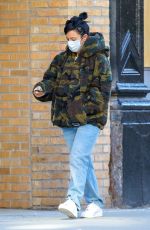 LILY ALLEN Leaves a Bakery Shop in New York 11/02/2020