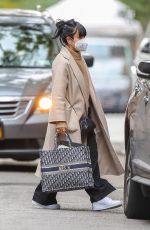 LILY ALLEN Out and About in New York 11/07/2020
