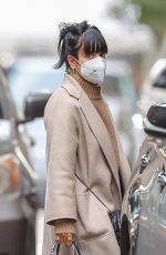 LILY ALLEN Out and About in New York 11/07/2020