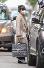 LILY ALLEN Out and About in New York 11/07/2020