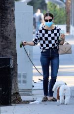 LUCY HALE Out with Her Dog in Los Angeles 11/12/2020