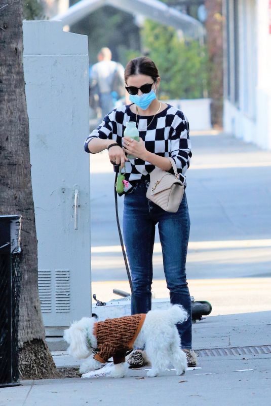 LUCY HALE Out with Her Dog in Los Angeles 11/12/2020