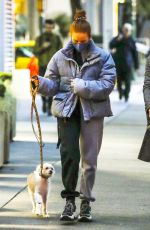 MADELAINE PETSCH and LILY REINHART Out with Their Dogs in Vancouver 11/09/2020