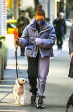MADELAINE PETSCH and LILY REINHART Out with Their Dogs in Vancouver 11/09/2020