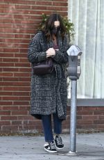 MANDY MOORE Out and Aboout in Los Angeles 11/08/2020