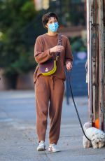MARY ELIZABETH WINSTEAD Out with Her Dog in New York 11/16/2020
